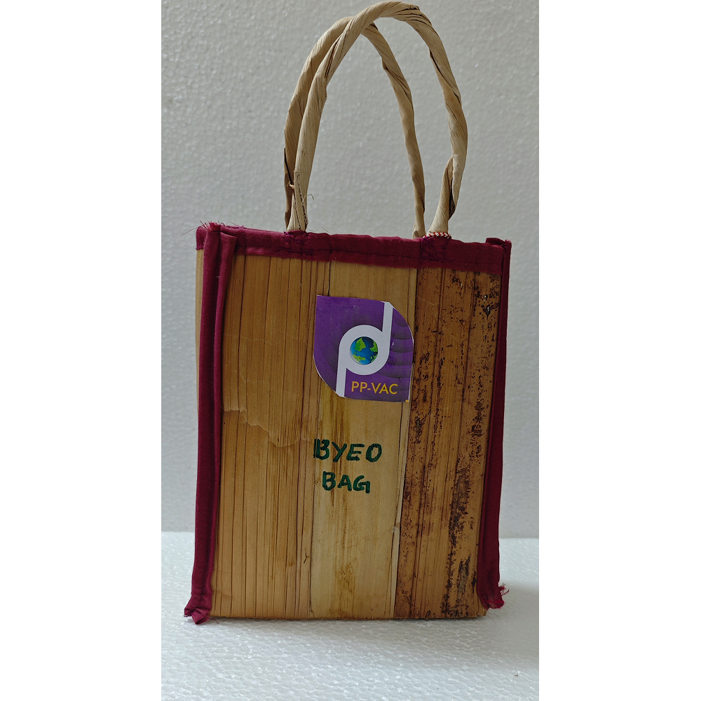 Grocery Bag